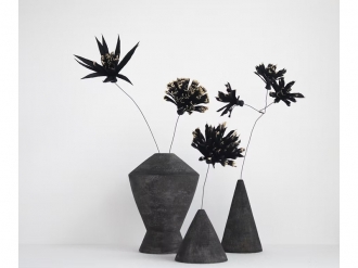 ボティ カーボン